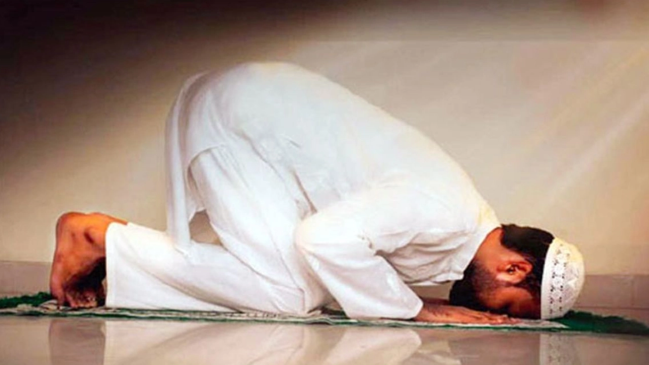 ফাইল ছবি