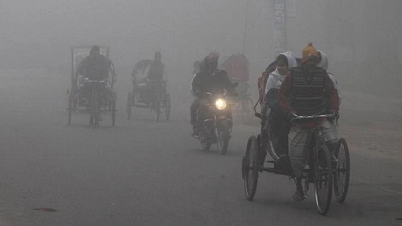 ফাইল ছবি