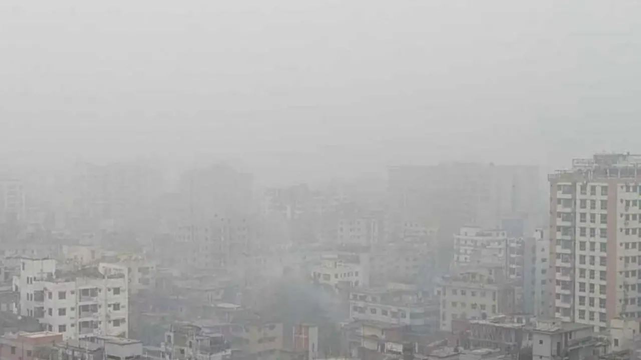 ছবি সংগৃহীত