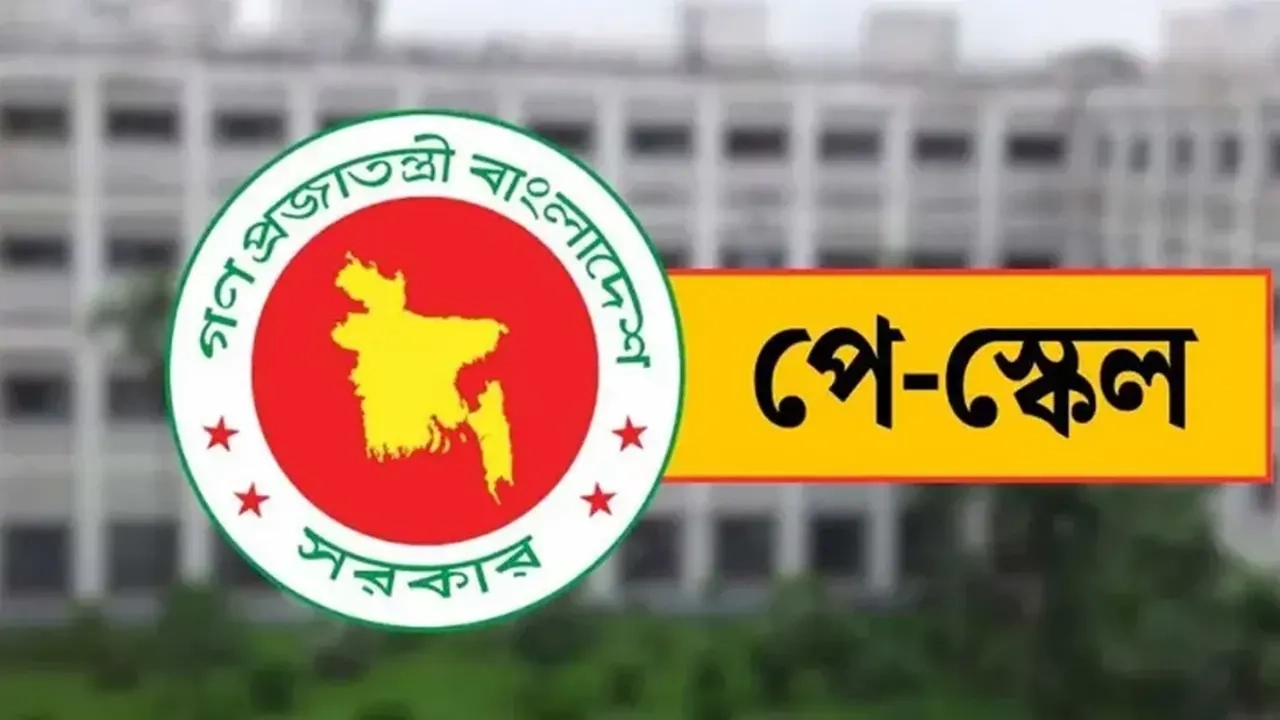 ছবি সংগৃহীত