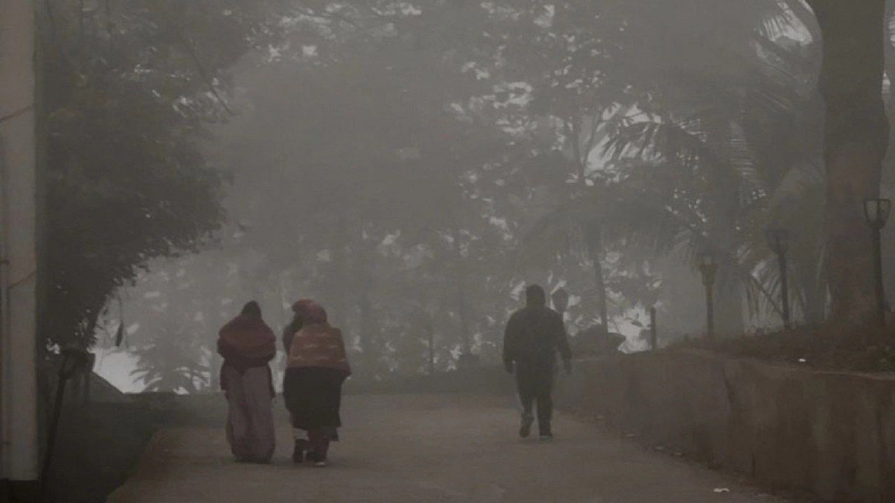 কুয়াশাচ্ছন্ন সকাল