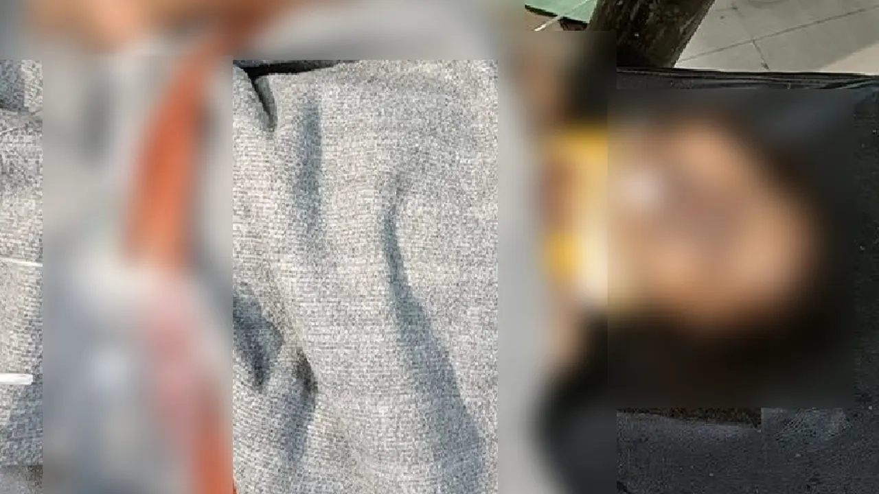 ছবি সংগৃহীত