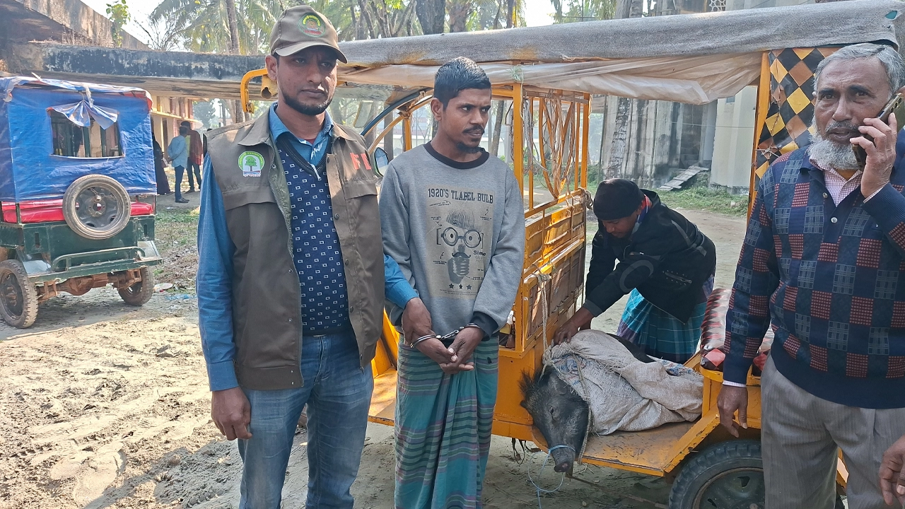 আটককৃত জাকির হোসেন ফরাজী (৩৮)