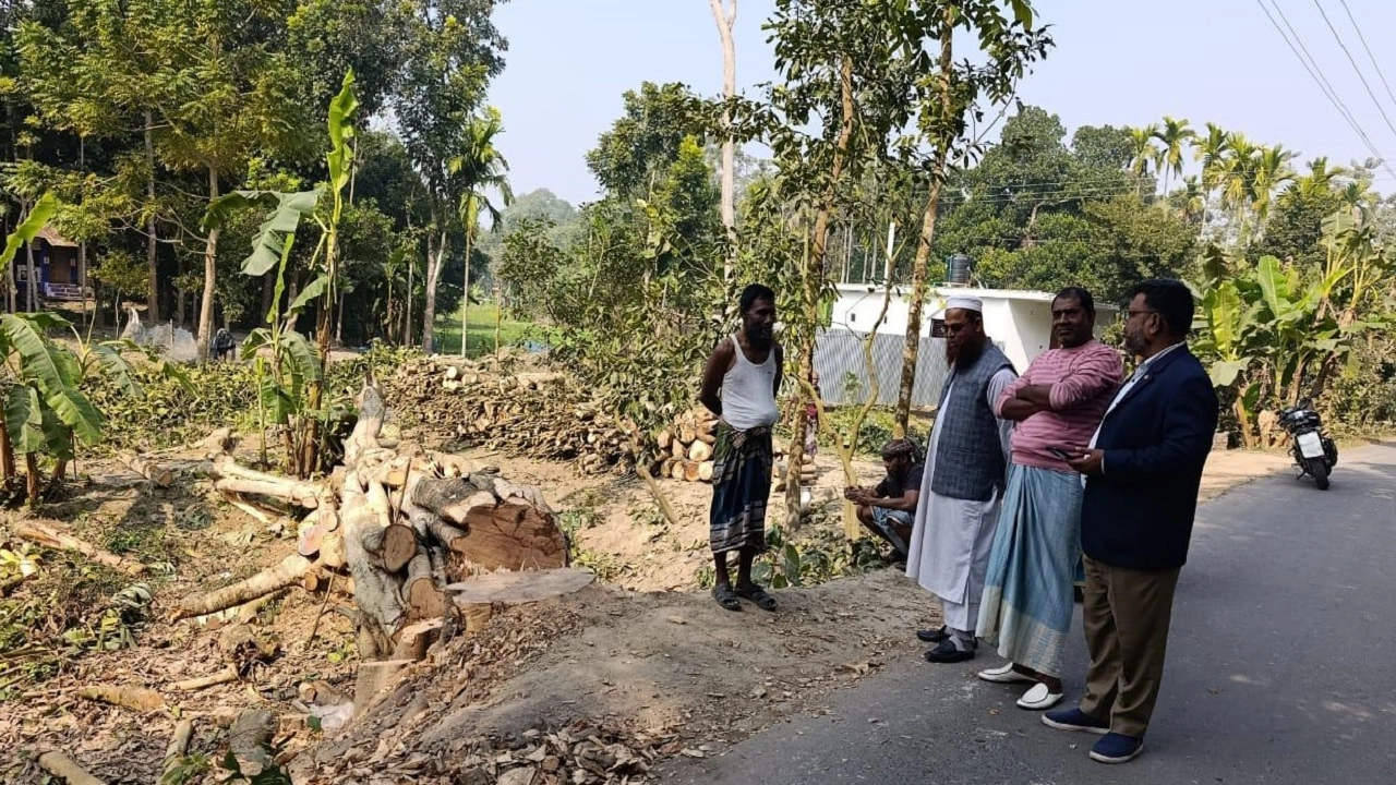 সরকারি গাছ কাটায় জেল-জরিমানা