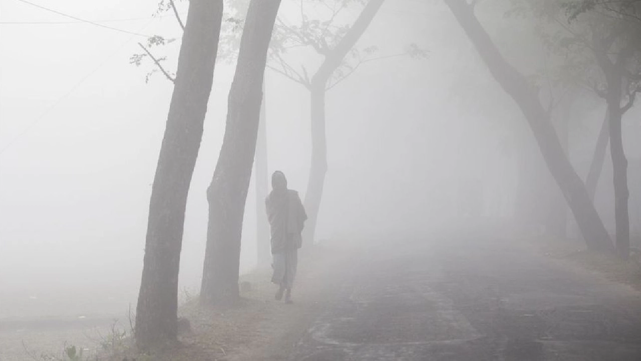 কুয়াশাচ্ছন্ন সকাল