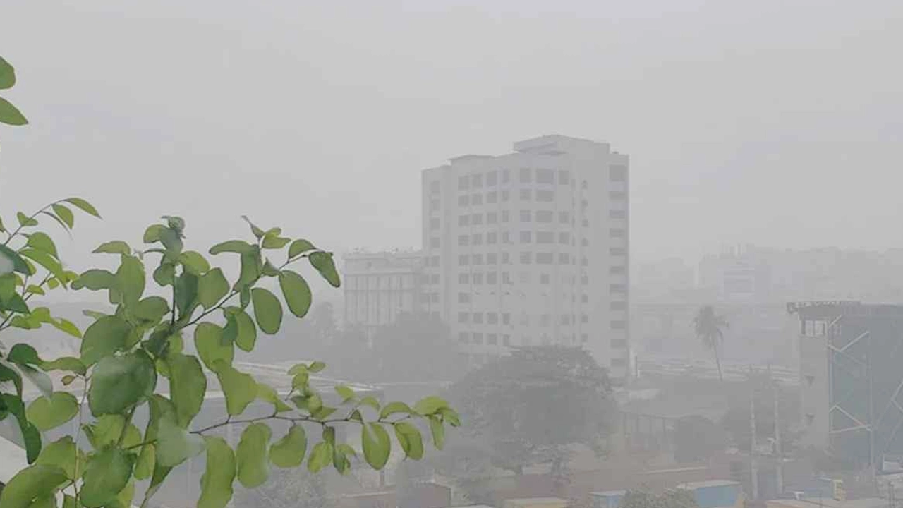 ফাইল ছবি