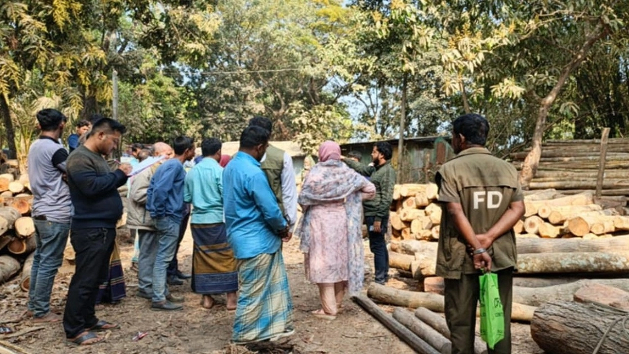 করাতকলের ৭ মালিকে জরিমানা