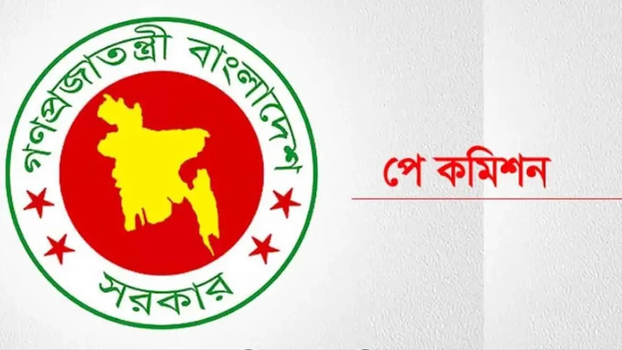 ছবি সংগৃহীত