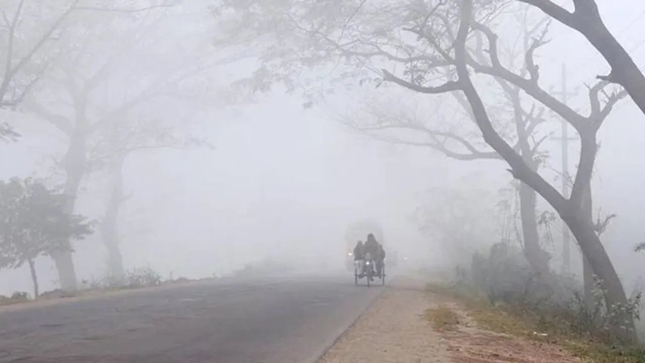 ছবি সংগৃহীত