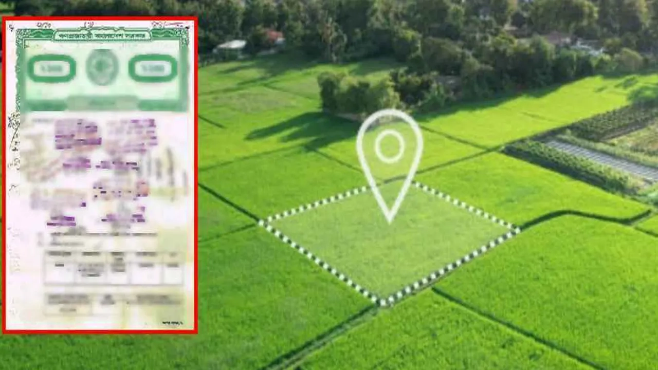 ছবি সংগৃহীত