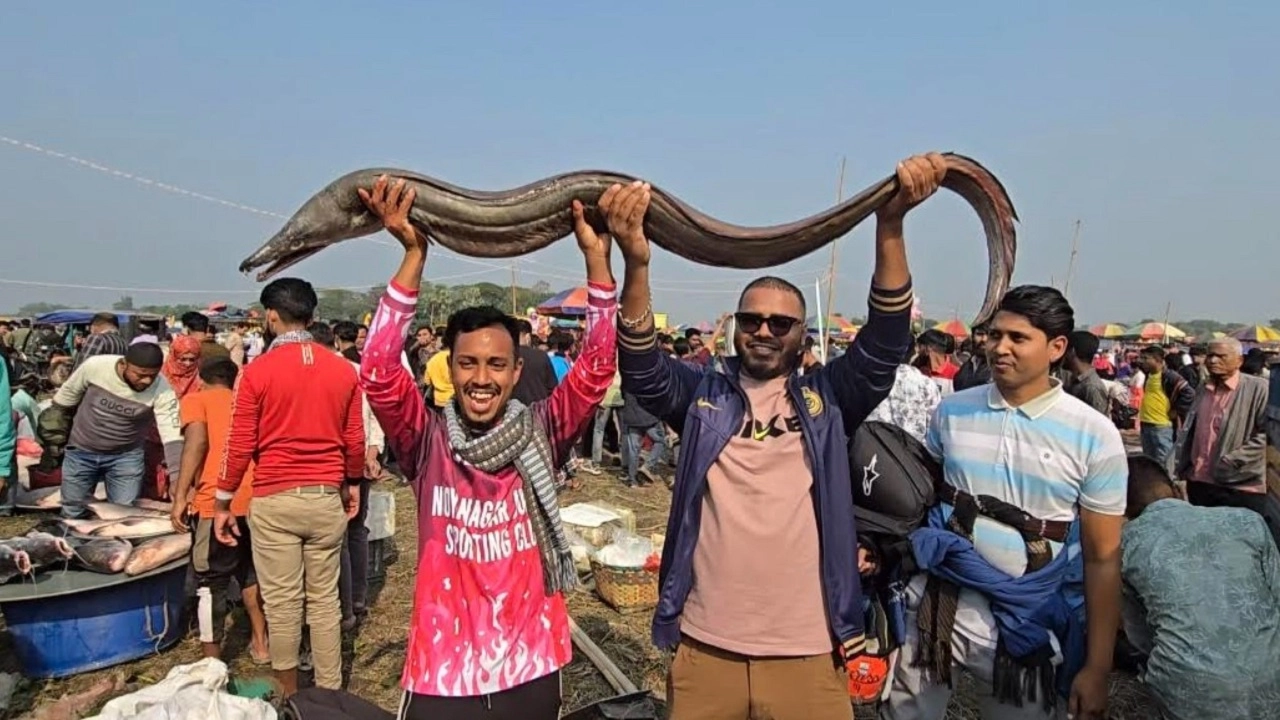 শুকিয়ে যাওয়া বিলের ধারে বসানো এ মেলা মাছের দোকান বাহারি মাছের জন্য বিখ্যাত।