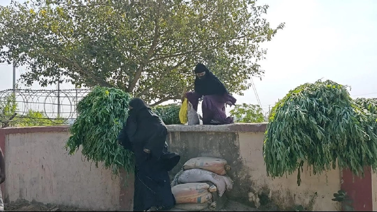 জনপথে দেওয়াল