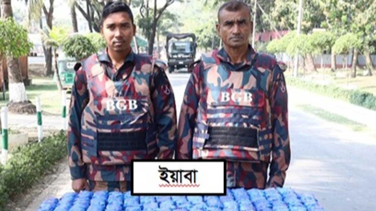 বিজিবির অভিযানে ৬ কোটি টাকার ইয়াবা উদ্ধার