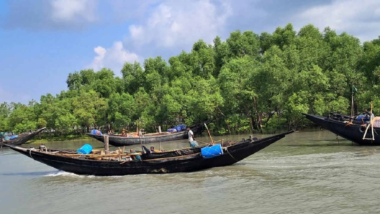 সুন্দরবনে ৫ জেলে অপহরণ