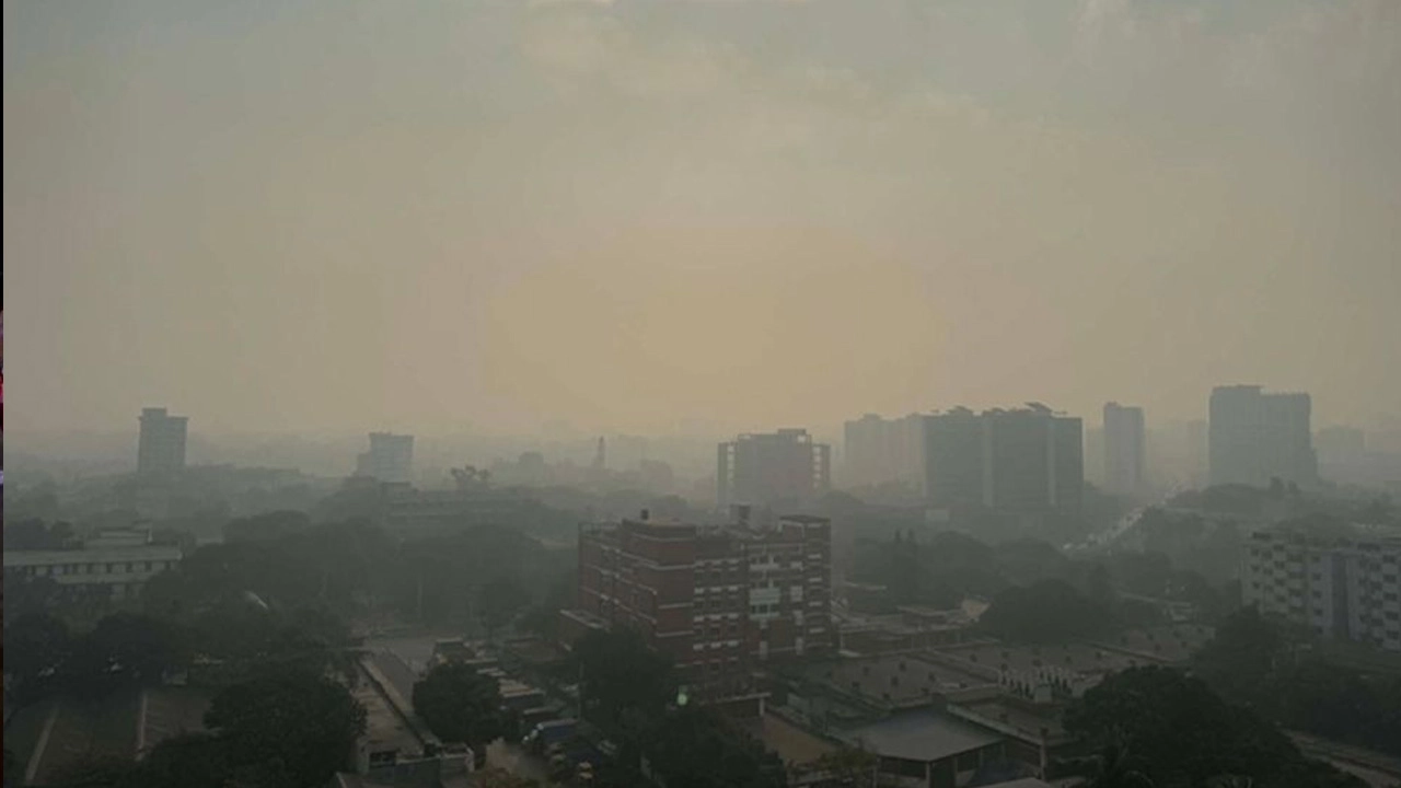 ছবি সংগৃহীত