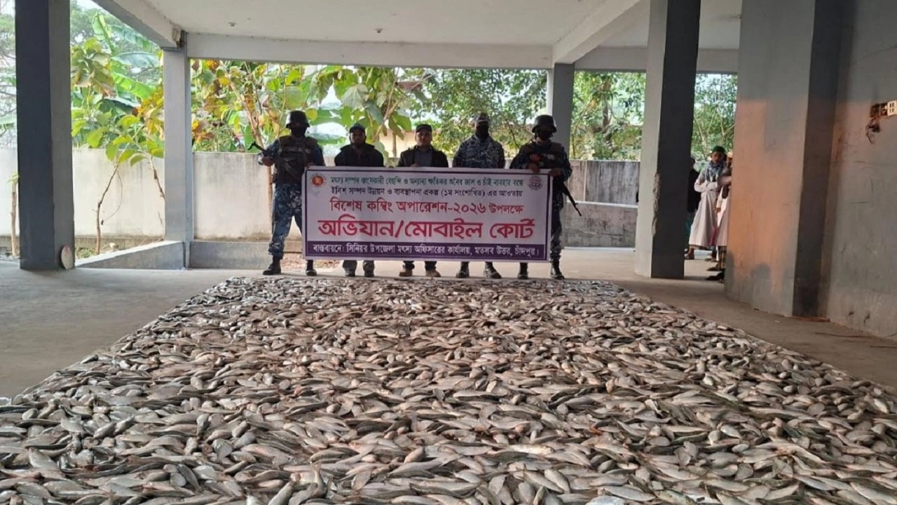 মতলব উত্তরে মেঘনা নদীতে এমভি কর্ণফুলী-৪ লঞ্চ থেকে জব্দকৃত ২ হাজার কেজি জাটকা।