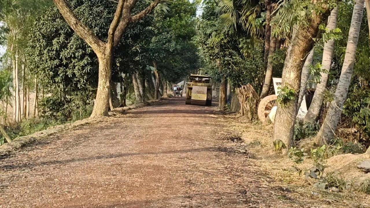 তাড়াশ-রানীরহাট আঞ্চলিক সড়ক