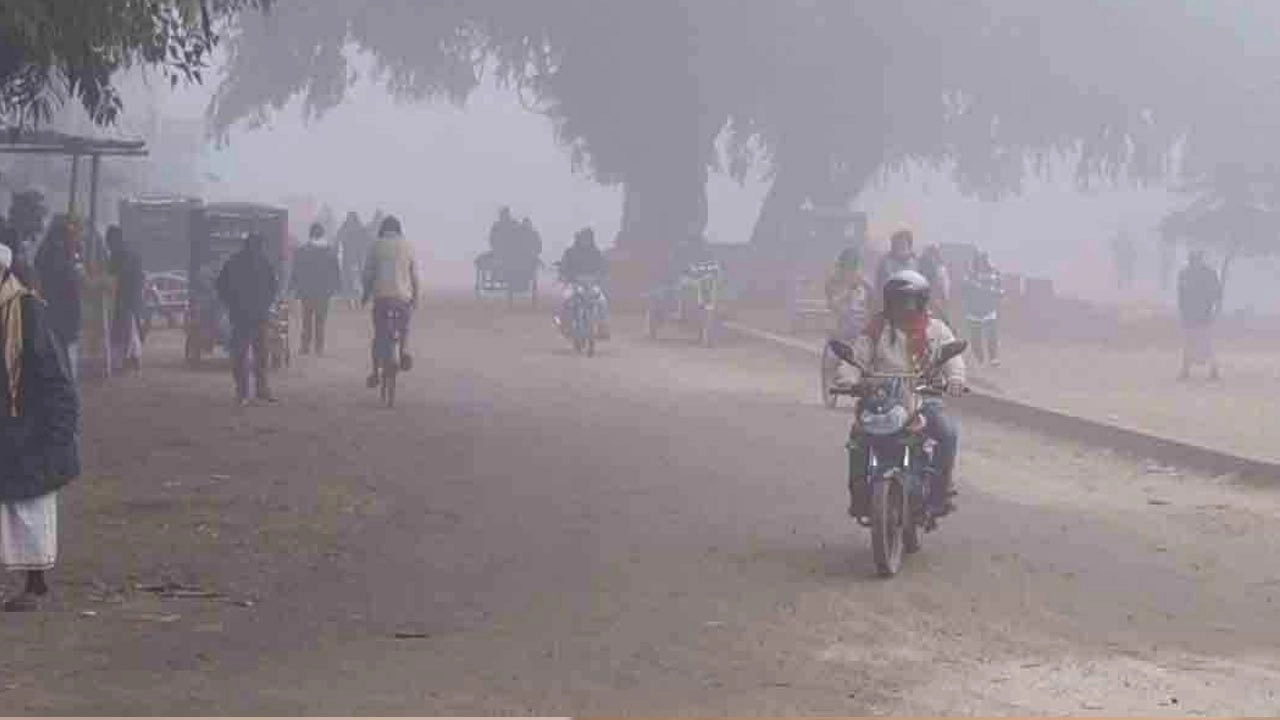 ছবি সংগৃহীত