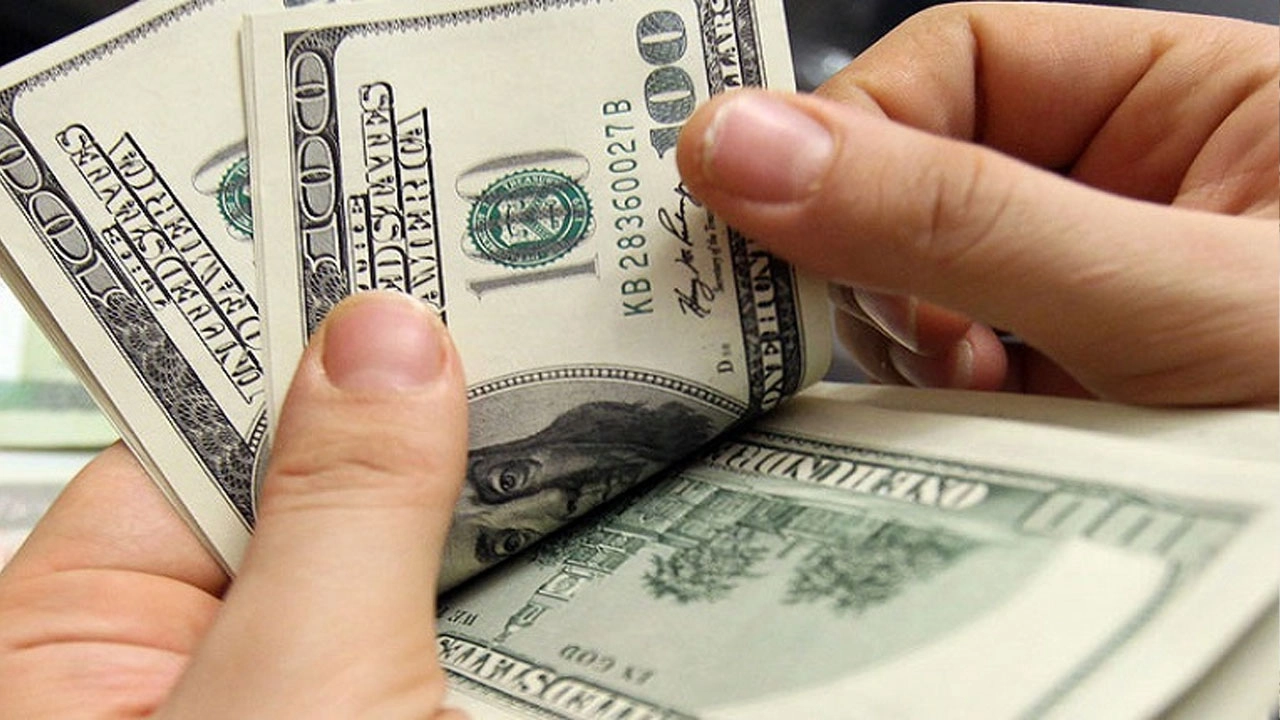 ছবি সংগৃহীত