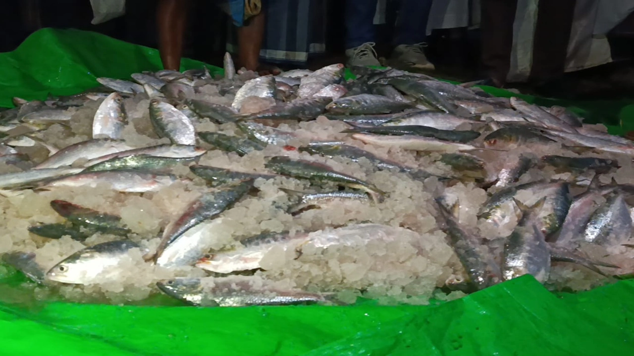 ছবি: এনপিবি নিউজ