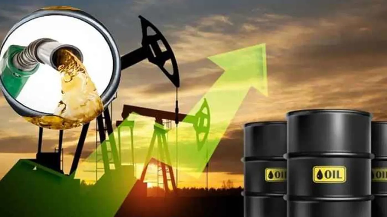 ছবি সংগৃহীত