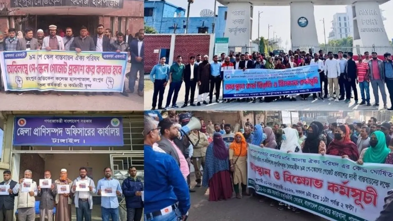 ছবি সংগৃহীত