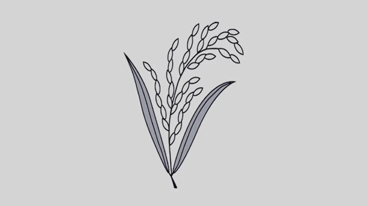 ছবি সংগৃহীত