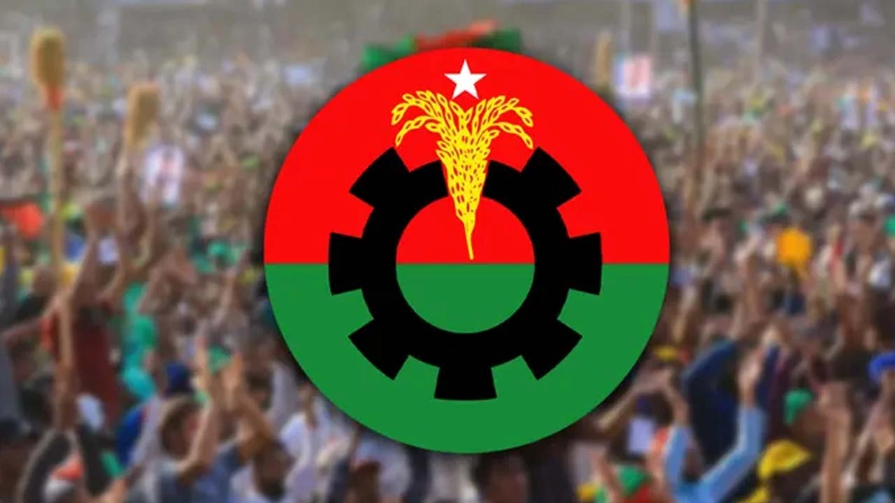 বিএনপির লোগো