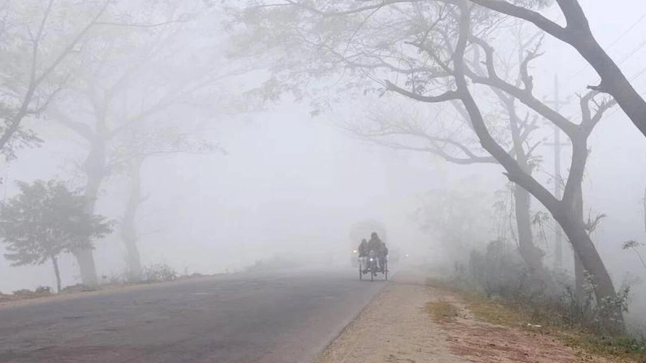 ফাইল ছবি