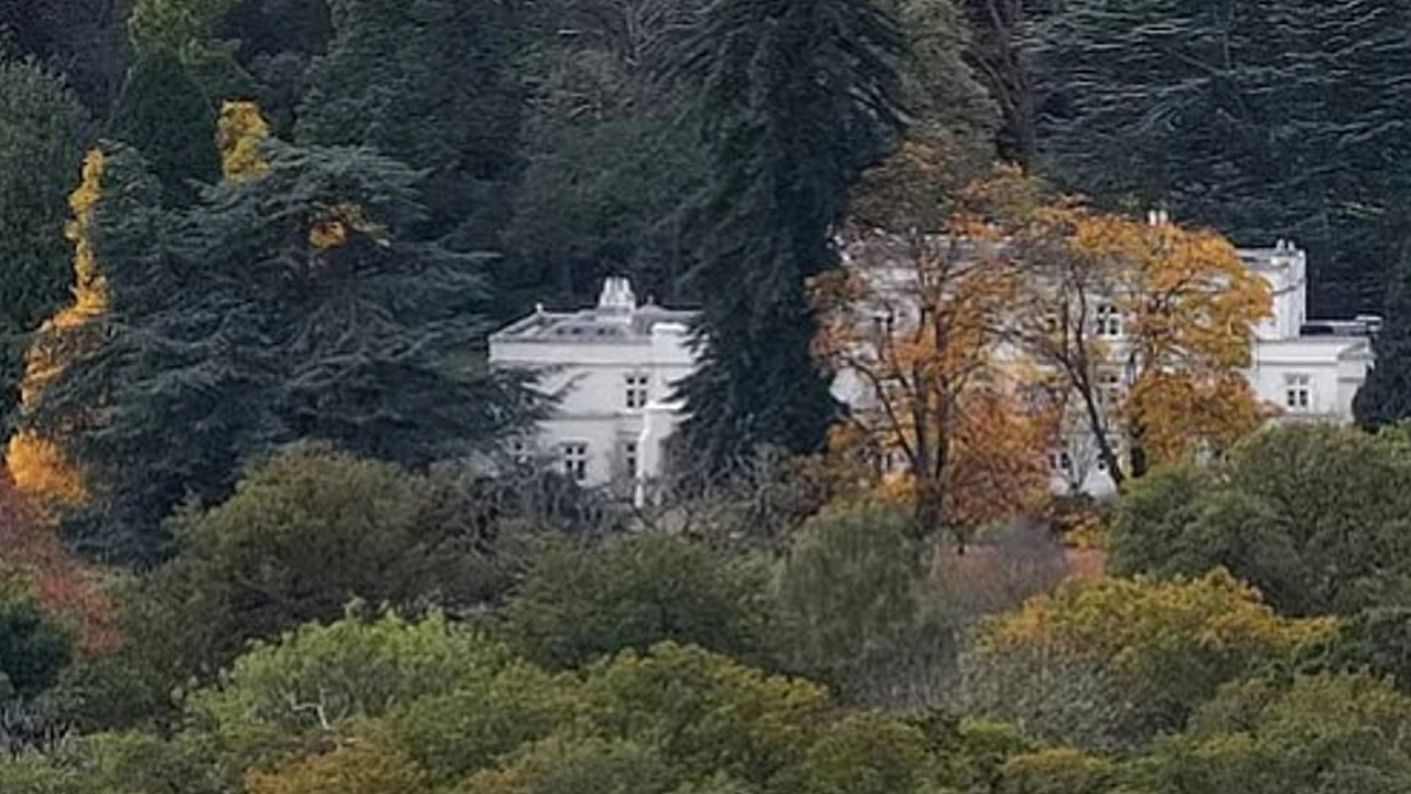 ছবি সংগৃহীত