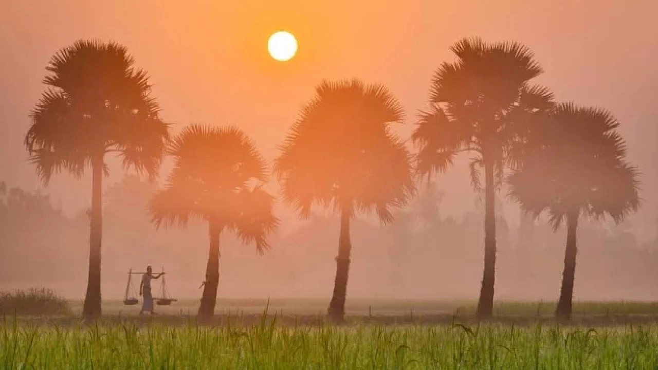 মাঘের শেষে তাপমাত্রা নিয়ে আবহাওয়া অধিদফতরের নতুন বার্তা