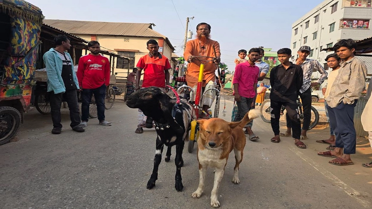 কুকুর ছাগলের অবিশ্বাস্য দোস্তি করে অদ্ভুত যান তৈরী