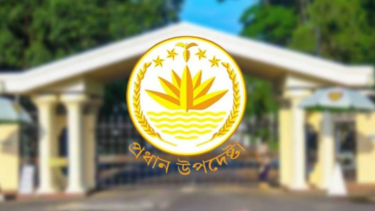 সম্পদ বেড়েছে যে উপদেষ্টাদের 