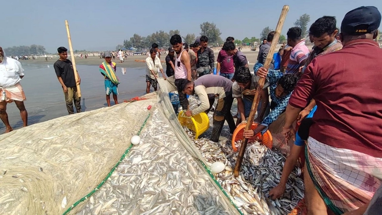 কক্সবাজারের টেকনাফে এক টানা জালে একসঙ্গে ধরা পড়েছে প্রায় ১৩০ মণ সামুদ্রিক মাছ।