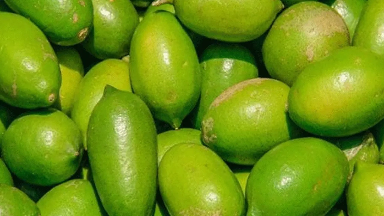 রোজা শুরুর আগেই লেবুর হালি ১০০ টাকা