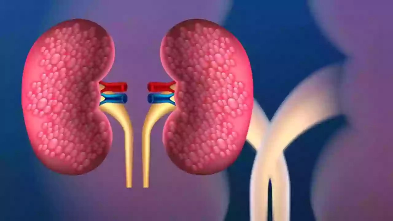 ছবি সংগৃহীত