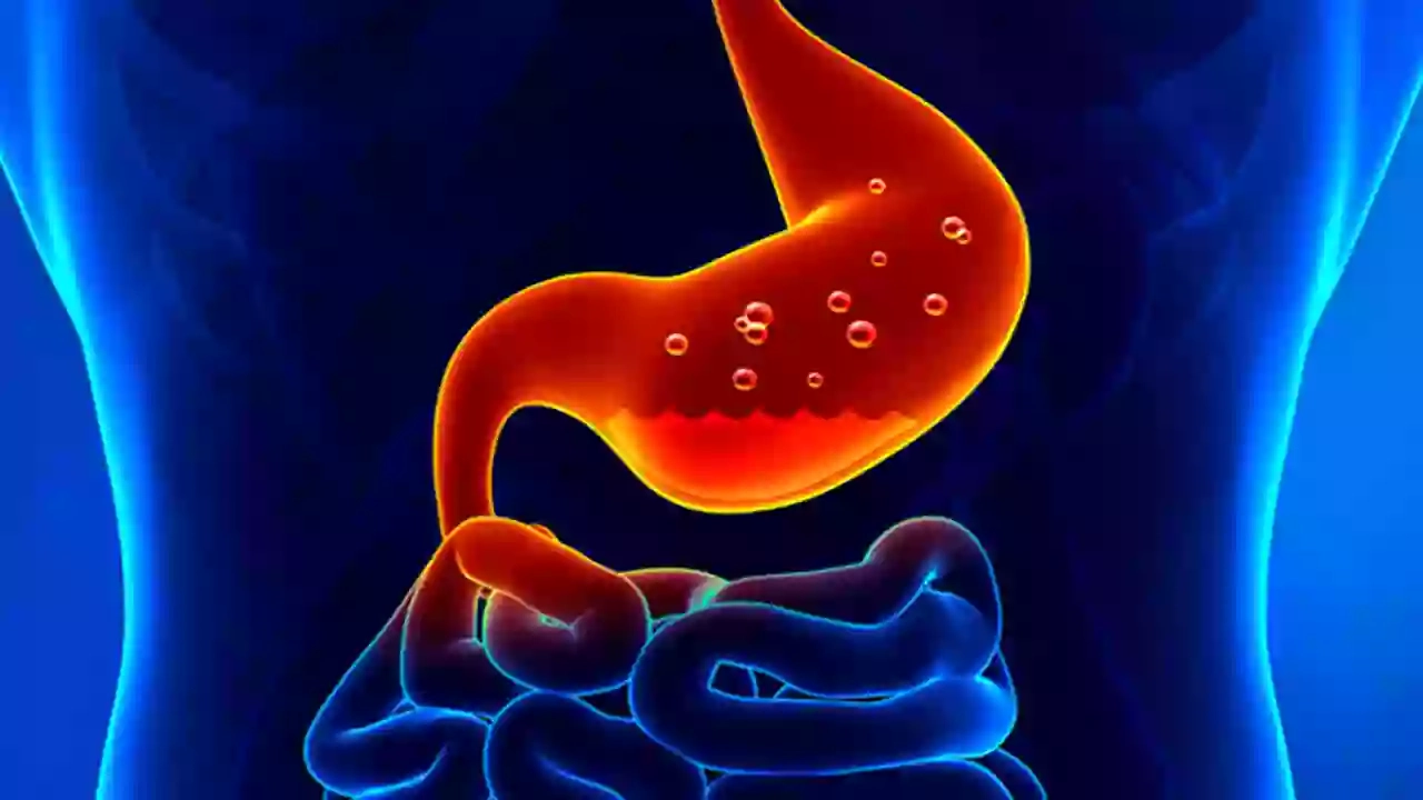 ছবি সংগৃহীত