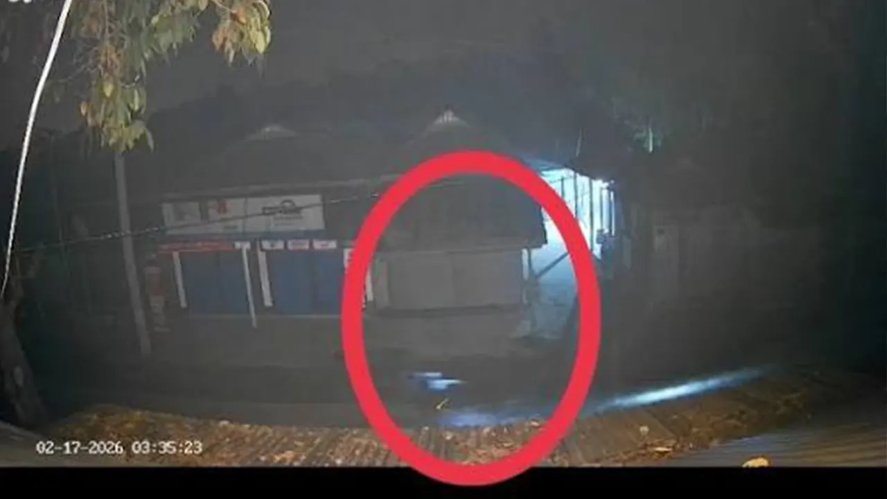 সিসিটিভি ফুটেজ থেকে সংগৃহীত