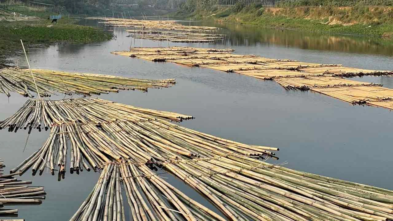 জলের ওপর সারি সারি ভাসছে বাঁশের ভেলা