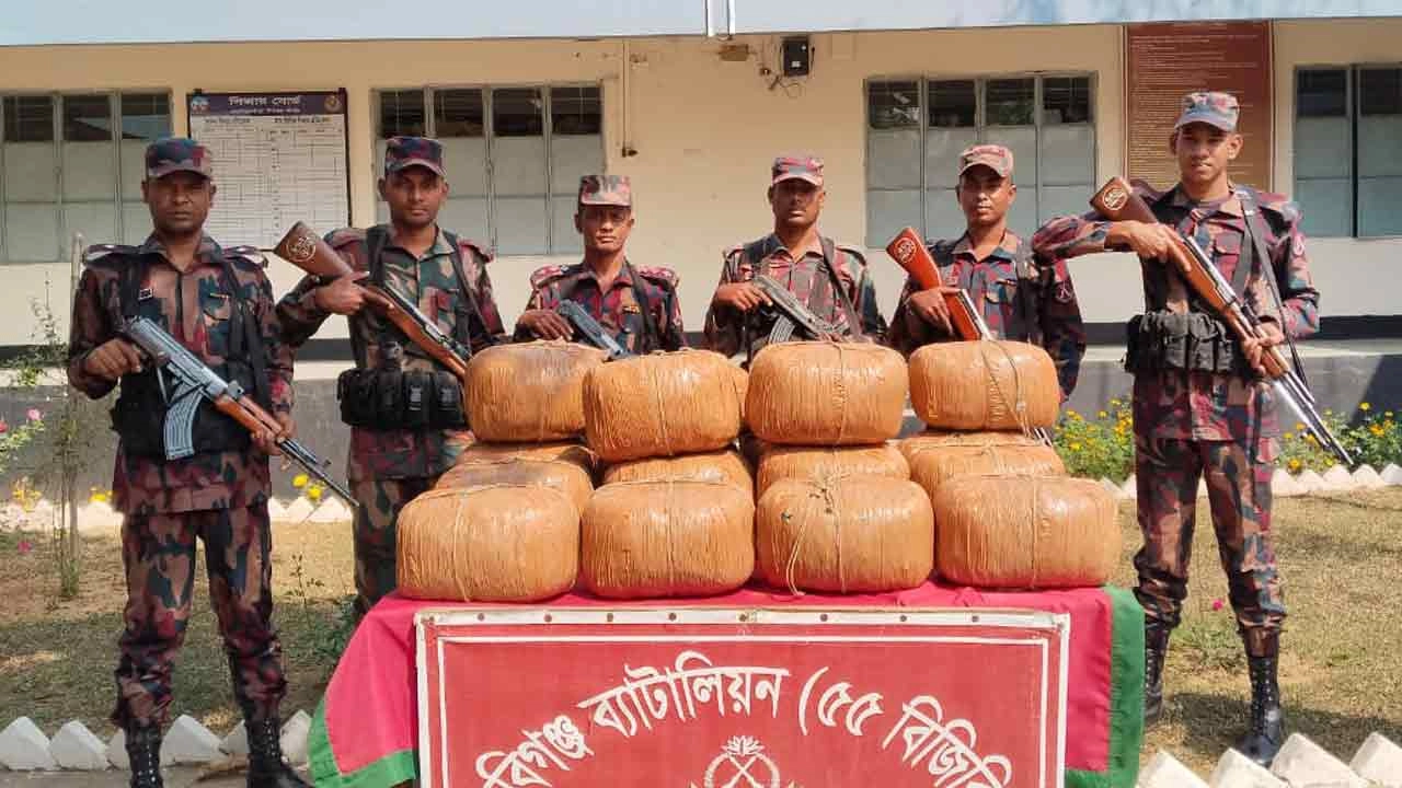 ৭৩ কেজি ভারতীয় গাঁজা জব্দ করেছে বিজিবি