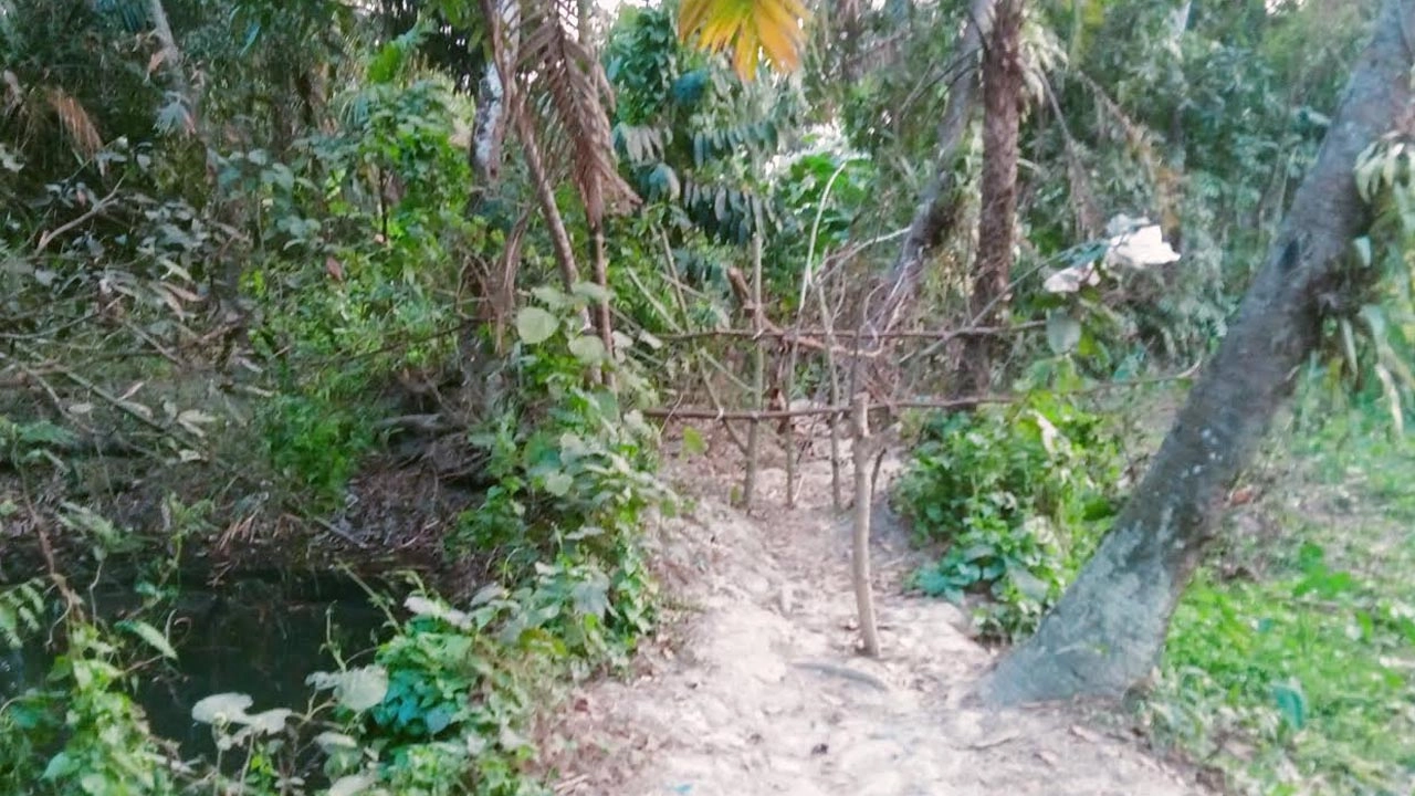 চলাচলের রাস্তা বেড়া দিয়ে বন্ধ করে দেওয়া হয়েছে