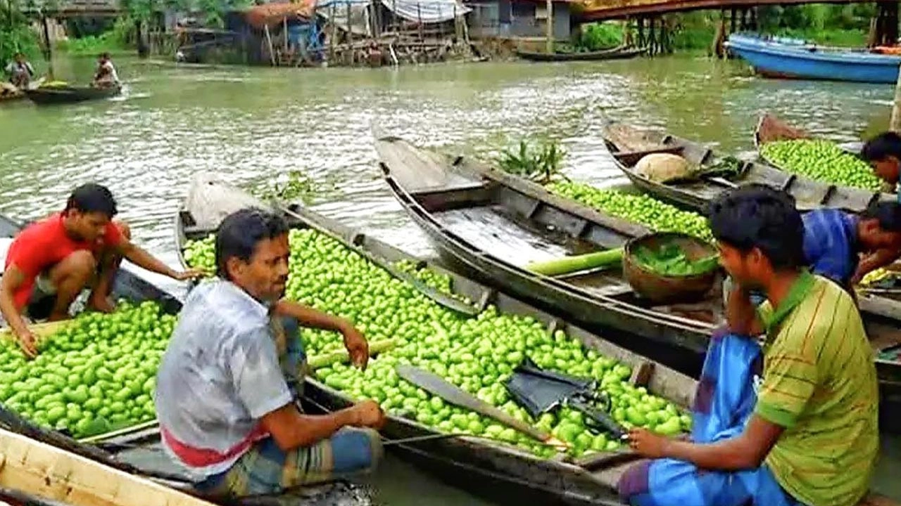 লেবুর রাজ্যখ্যাত ঝালকাঠিতে লেবুর আকাল