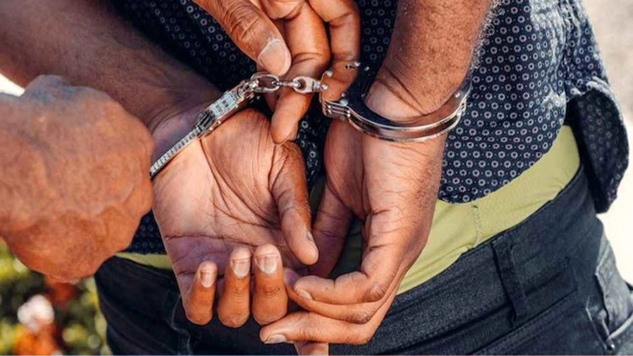 ছবি সংগৃহীত