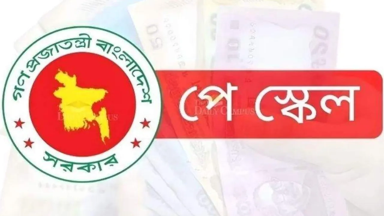 ছবি সংগৃহীত