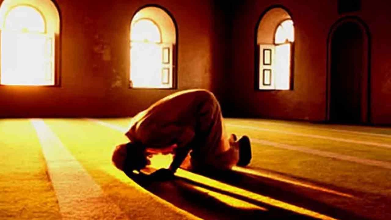 ফাইল ছবি