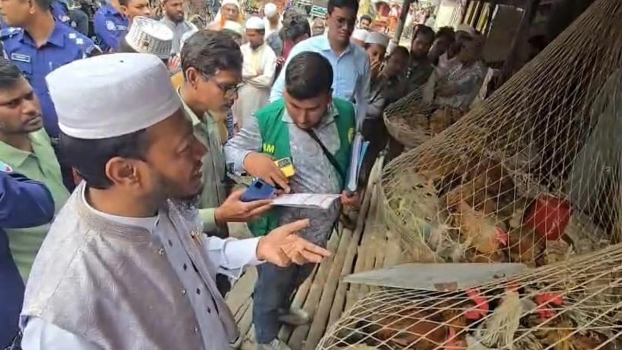 সংসদ সদস্য ও আলোচিত ইসলামী বক্তা মুফতি আমির হামজা।