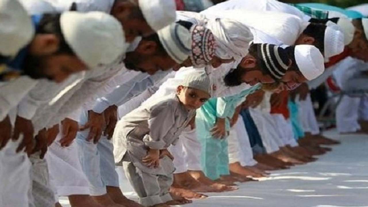 ছবি সংগৃহীত