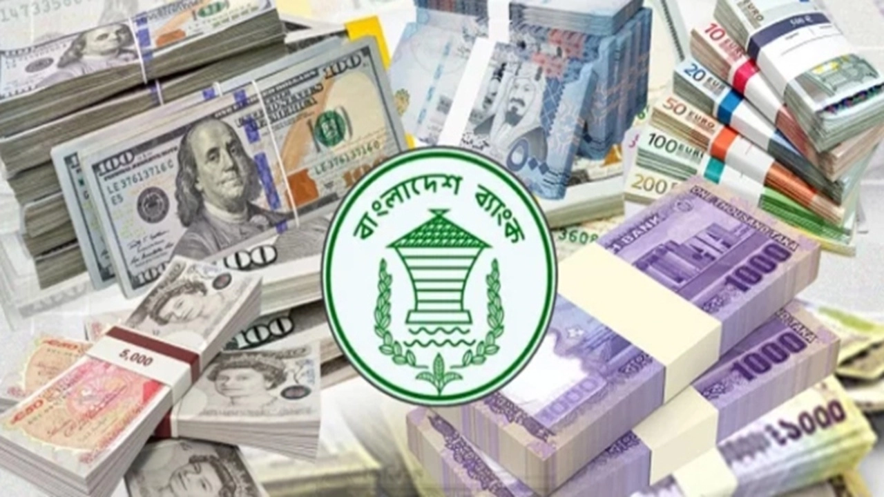 ছবি সংগৃহীত