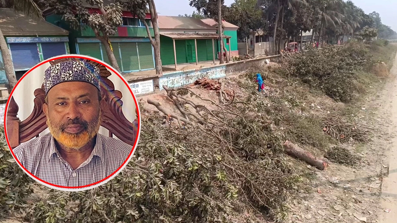 ছবি সংগৃহীত