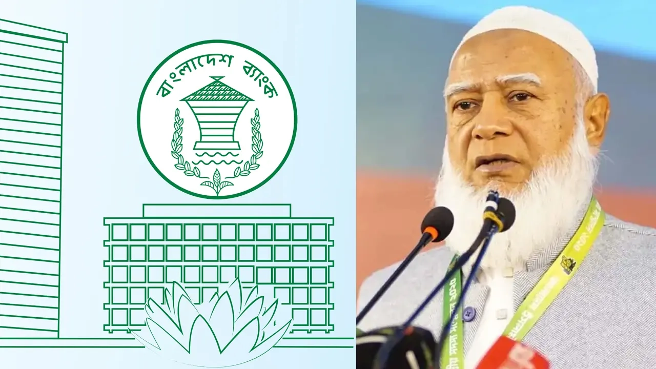 এনপিবি গ্রাফিক্স